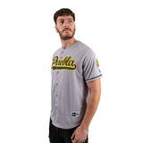 Jersey New Era Away Pericos de Puebla LMB Caballero