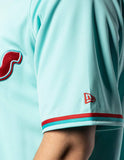 JERSEY MENTA DIABLOS ROJOS DEL MÉXICO LMB CABALLERO