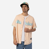 Jersey Diablos Rojos del México LMB Pastel