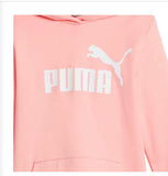 Sudadera Puma Essentials Logo Juvenil