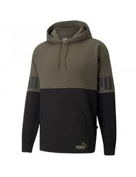 Puma Power Colorblock Hoodie Caballero